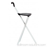 Folding Chair and Walking Stick Cane by ProActive Sports 568016871